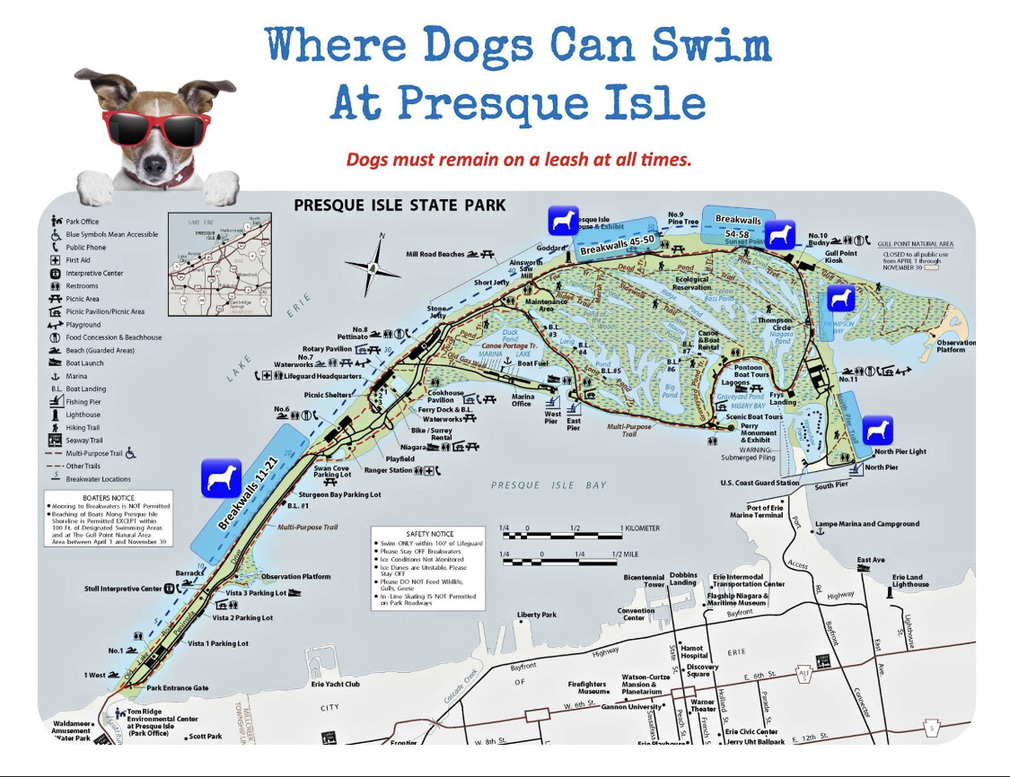 Map of dog-friendly beaches at Presque Isle State Park